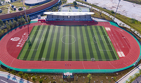 绿城体育高校足球场人造草坪，满足专业体育教学要求