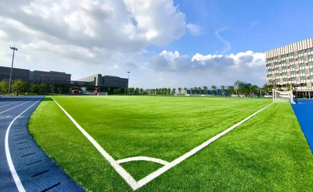2026年人造草坪厂家选型指南：如何评估一家供应商的综合实力